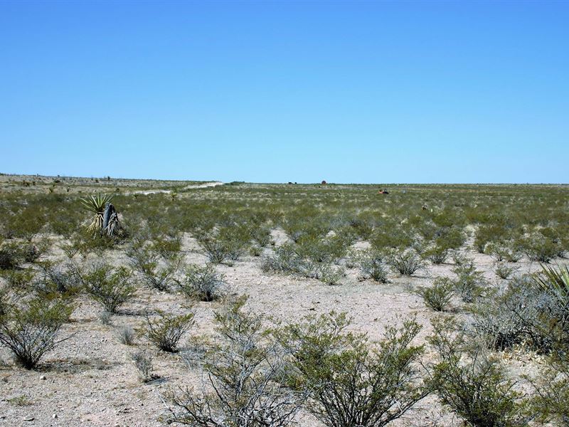 Beautiful TX 20 Acre Ranch Property : Sierra Blanca : Hudspeth County : Texas