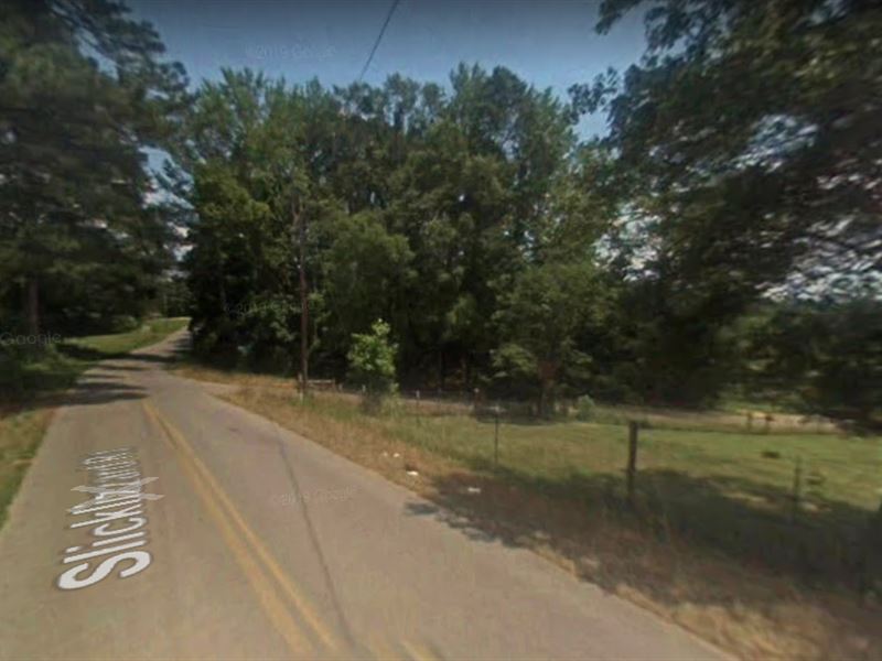 Beautiful Wooded Land Near Jasper : Nauvoo : Walker County : Alabama
