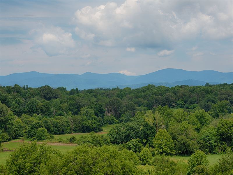 Mount Fern : Orange : Madison County : Virginia