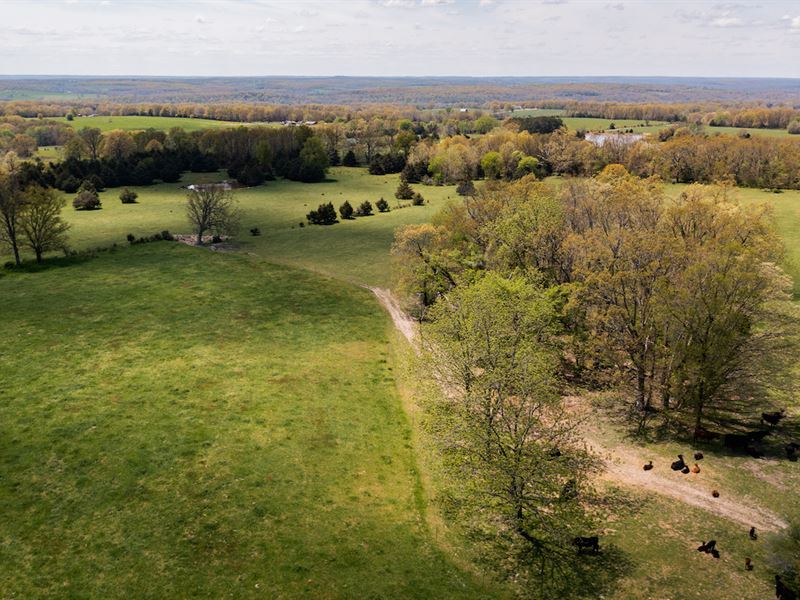 Southern Missouri Land for Sale : Hartville : Wright County : Missouri
