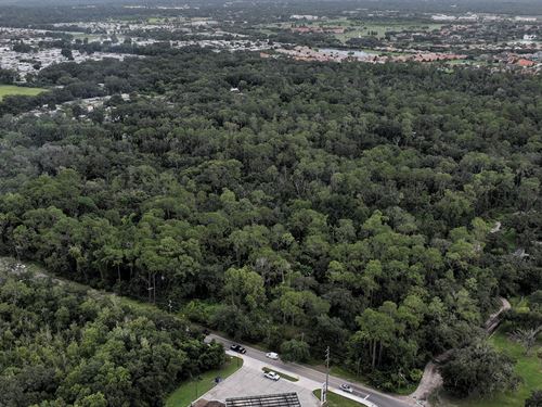 West Lakeland Residential Land : Lakeland : Polk County : Florida