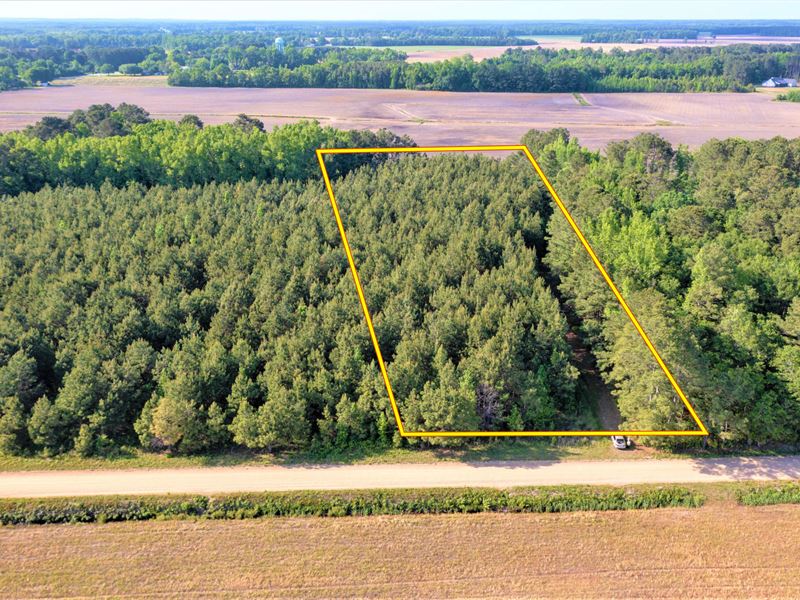 3 Wooded Acres, Water & Power Lines : Mayesville : Sumter County : South Carolina