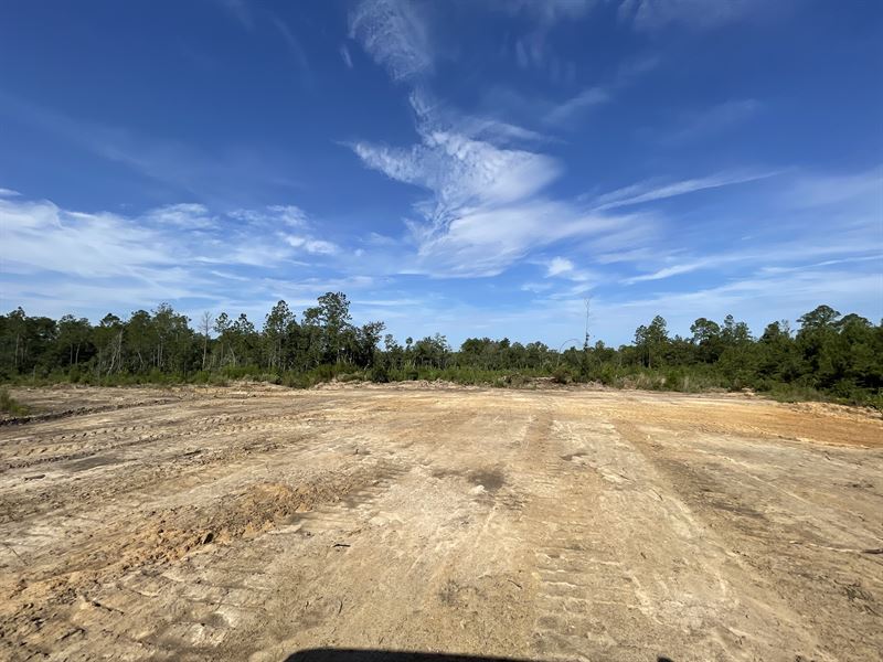 Magee Tract : Millry : Washington County : Alabama