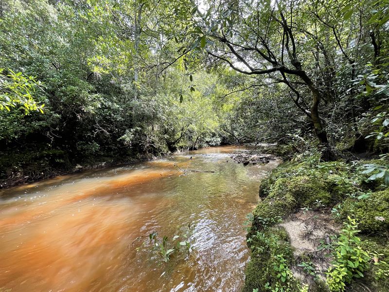 Red Creek Tract : Millry : Washington County : Alabama