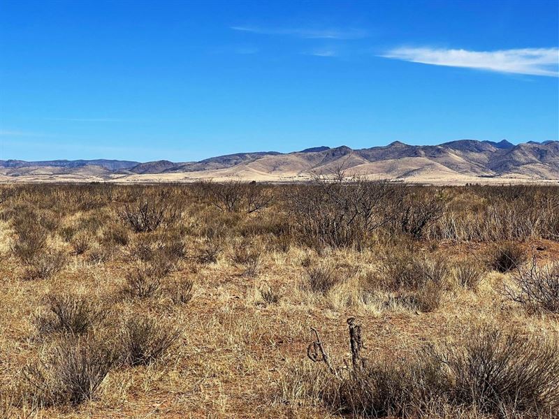 Snowbirds Paradise Build Tiny Home : Sunsites : Cochise County : Arizona