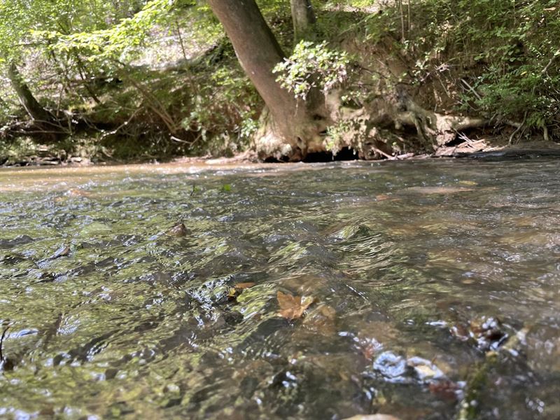 317 Ac Marble Valley : Sylacauga : Coosa County : Alabama