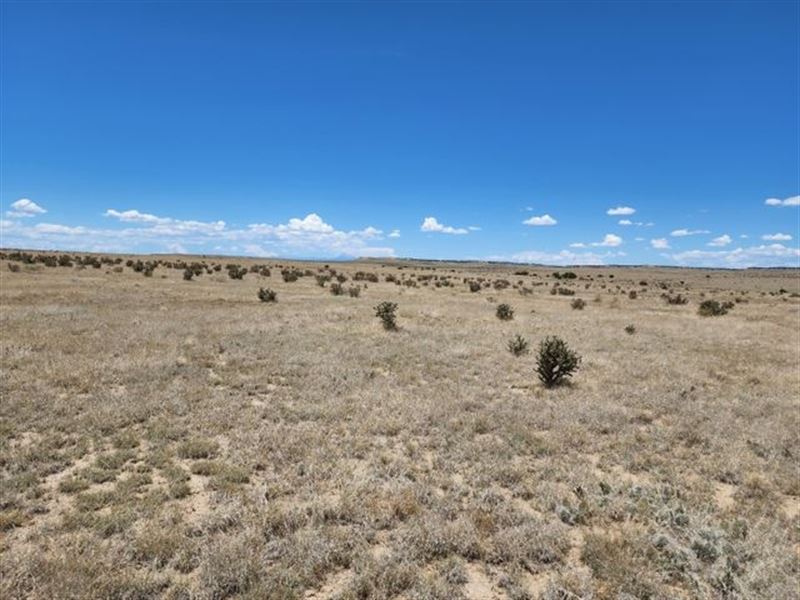 Cr 113.5, Model, Co 81059 : Model : Las Animas County : Colorado