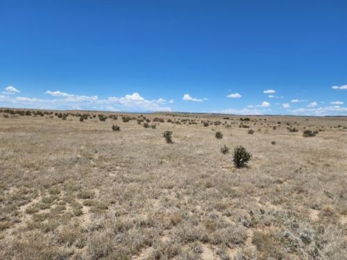 Cr 113.5, Model, Co 81059 : Model : Las Animas County : Colorado