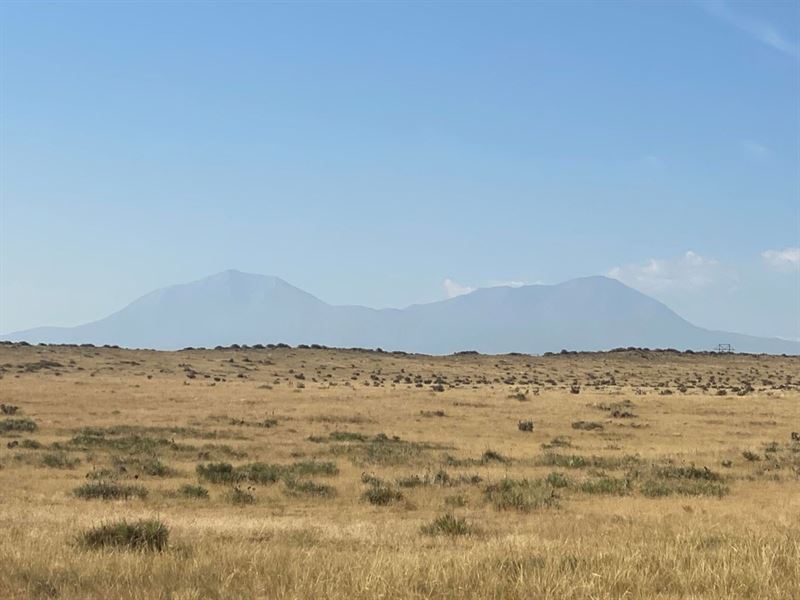 Red Rock Rd, Walsenburg, Co 810 : Walsenburg : Huerfano County : Colorado