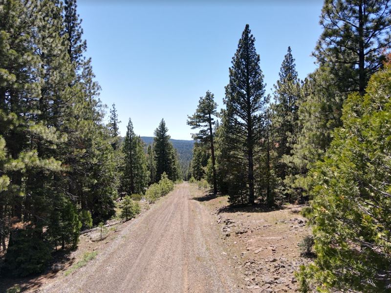 Hot California Property : Alturas : Modoc County : California