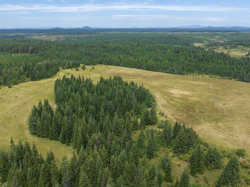 Rocking J Ranch, Parcel 3 : Weippe : Clearwater County : Idaho