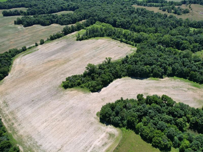 Land for Sale, 66 Acres Mixed Habi : Martinsville : Morgan County : Indiana