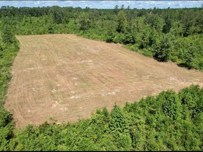 23.2 Acres in Lincoln County in Wes : Wesson : Lincoln County : Mississippi