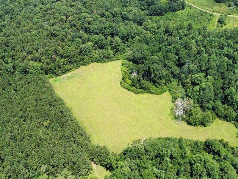 142 Acres Hunting Timberland Land : Magnolia : Amite County : Mississippi