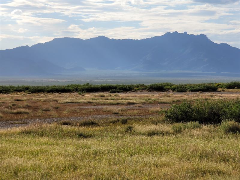 Gear up to Go, 1 Acre Only $99 Down : Deming : Luna County : New Mexico