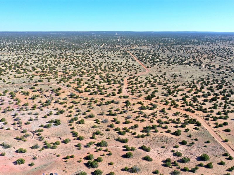 20 Acres Wooded AZ Ranch, $900 Down : Saint Johns : Apache County : Arizona