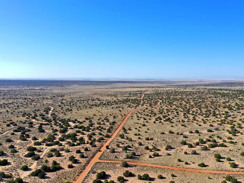 20 Acres in Az, Lots of Privacy : Saint Johns : Apache County : Arizona