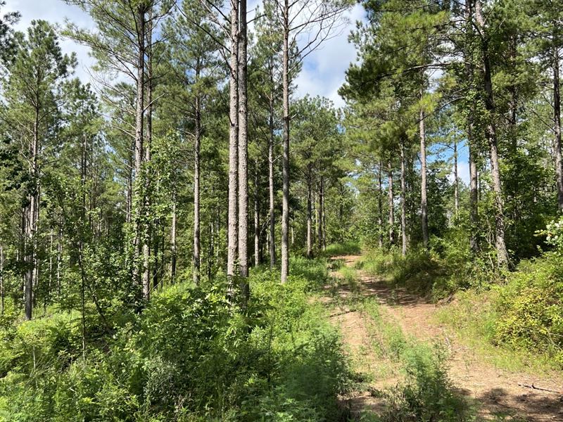 760 Acres in Collinsville : Collinsville : Dekalb County : Alabama