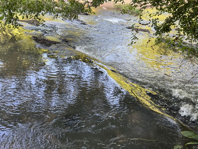 35 Acres on Saugahatchee Creek : Dadeville : Tallapoosa County : Alabama