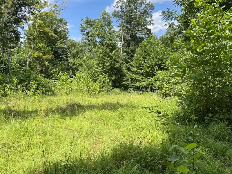 Pike County, Ohio Land for Sale : Latham : Pike County : Ohio