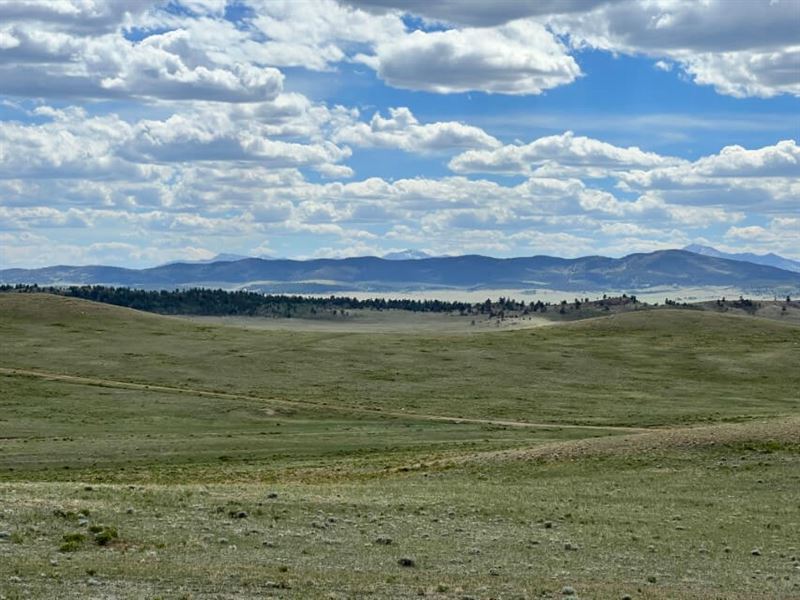 Colorado Land Bargain : Hartsel : Park County : Colorado