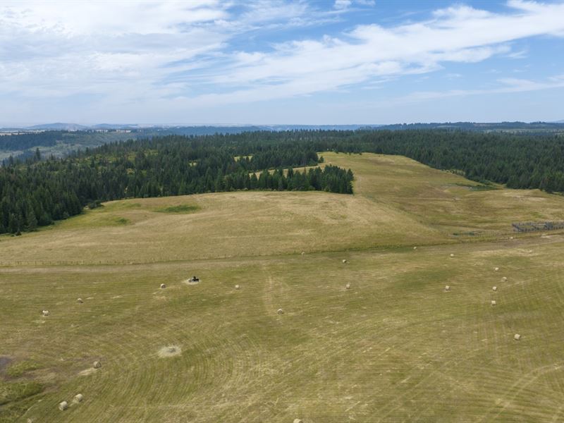 Rocking J Ranch, Parcel 6 : Weippe : Clearwater County : Idaho