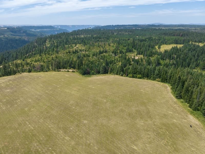 Rocking J Ranch, Parcel 12 : Weippe : Clearwater County : Idaho