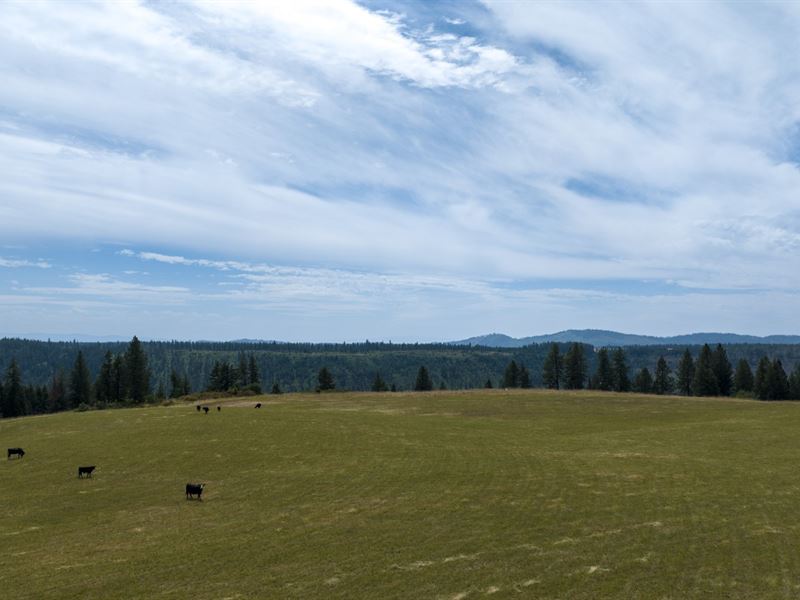 Rocking J Ranch, Parcel 13 : Weippe : Clearwater County : Idaho