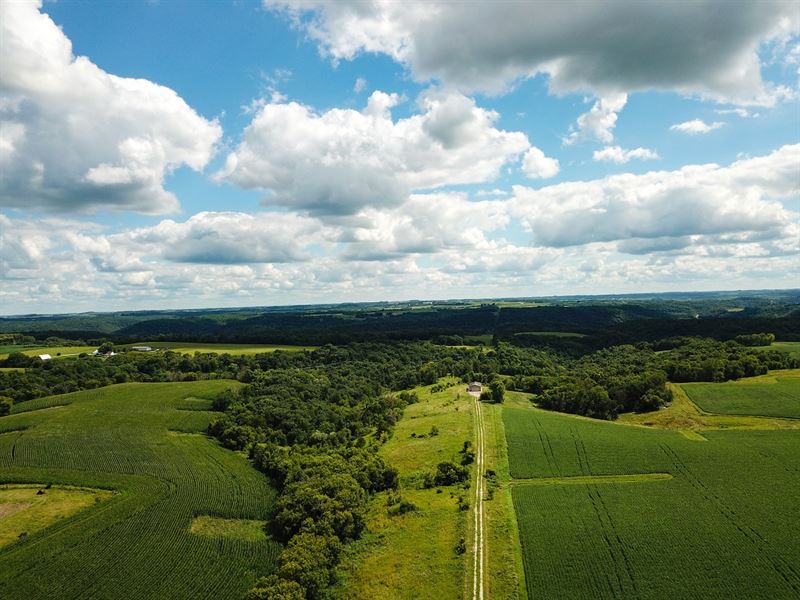65.61 Acres, Fillmore County : Lanesboro : Fillmore County : Minnesota