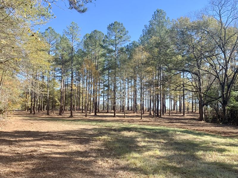 Crawford Smithonia Road Tract : Crawford : Oglethorpe County : Georgia