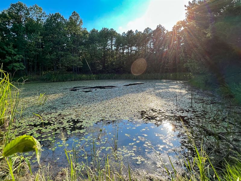45 Acres, Hwy 1 Frontage : Hartshorne : Latimer County : Oklahoma