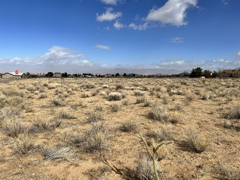 Affordable Golf Country Club Living : Kingman : Mohave County : Arizona