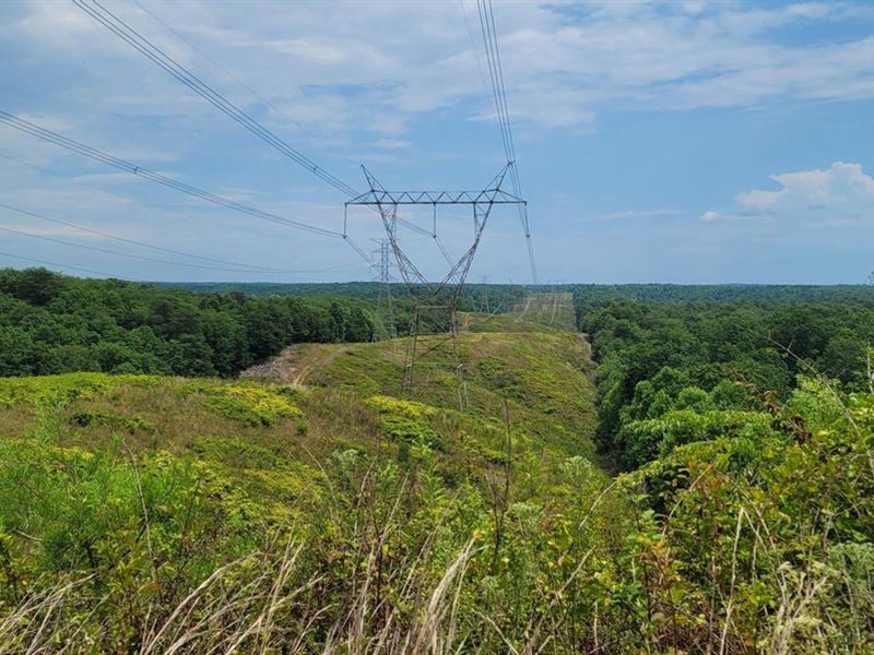 2000 Acres Great Interior Road, Foo : Hurricane Mills : Humphreys County : Tennessee