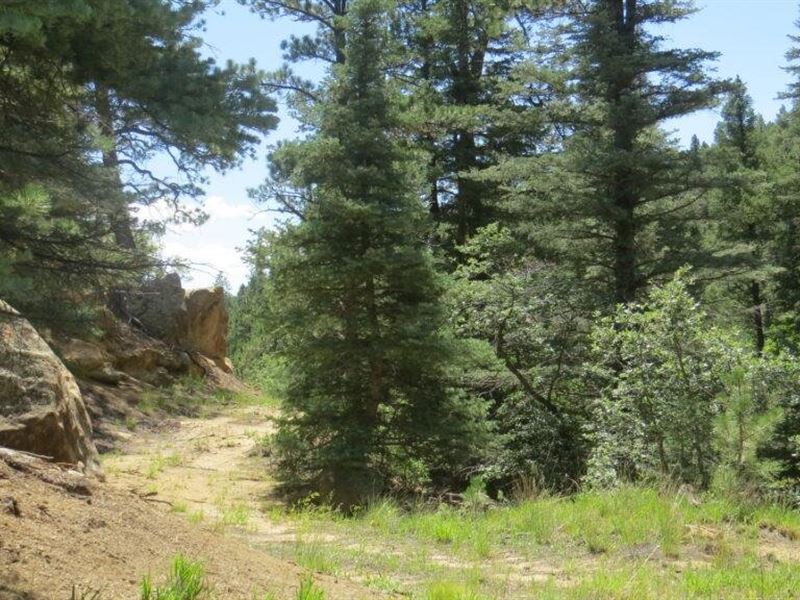 102 Ac San Pablo Canyon Ranch/Cimar : Weston : Las Animas County : Colorado