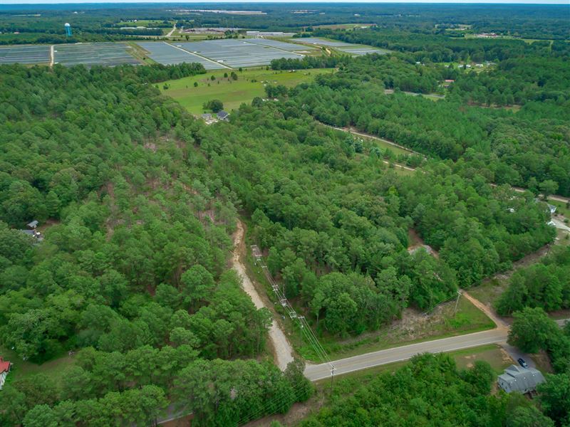 Cassidy Road Tract : Gaston : Lexington County : South Carolina
