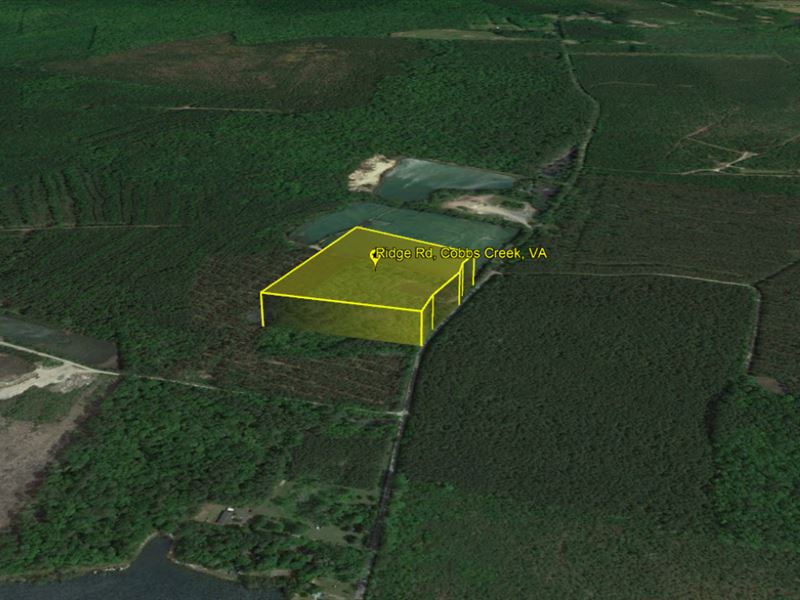 Spacious 12 Acre Rural Open Land : Cobbs Creek : Mathews County : Virginia