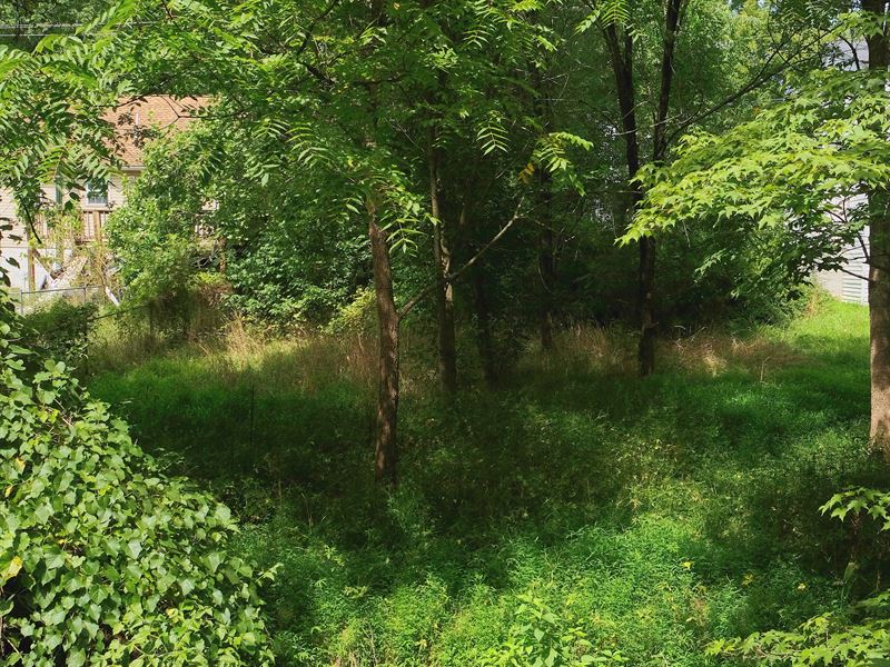 Beautiful Lot for Your Mobile Home : Berkeley Spring : Morgan County : West Virginia