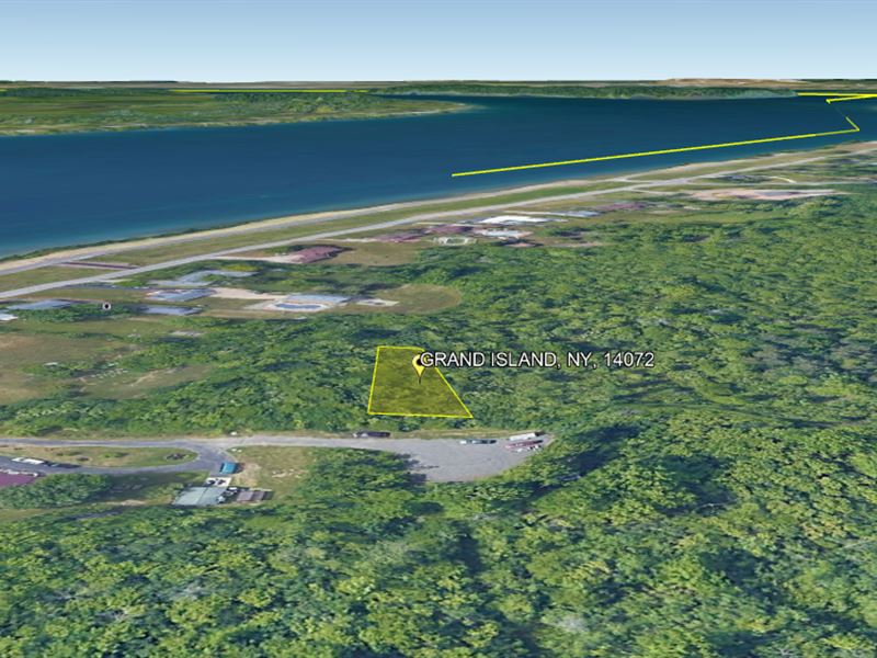 Hidden Treasure On Private Road : Grand Island : Erie County : New York