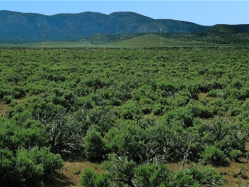 $1 To Start Owning Utah Land : Beryl Junction : Iron County : Utah