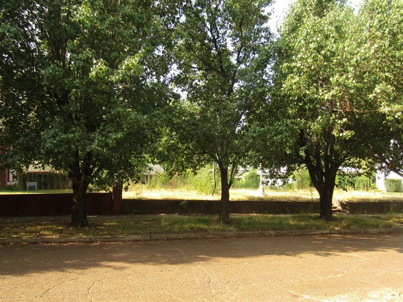 Prime Building Lot with Small-Town : Hugo : Choctaw County : Oklahoma