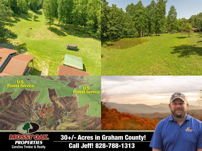 30 Acres, Spectacular Views & Gr : Robbinsville : Graham County : North Carolina