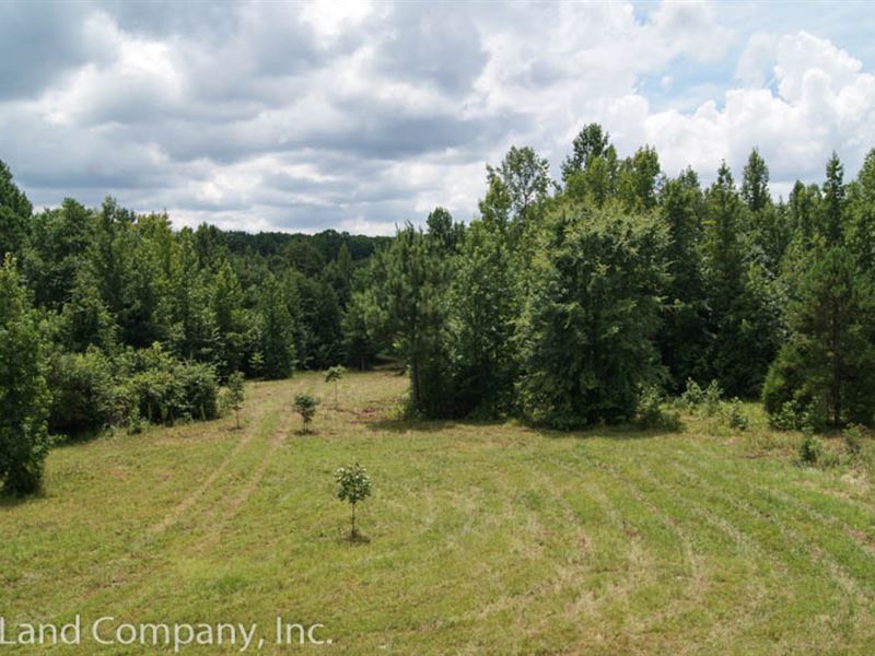25 Acre Homesite in Glenn Springs : Pauline : Spartanburg County : South Carolina