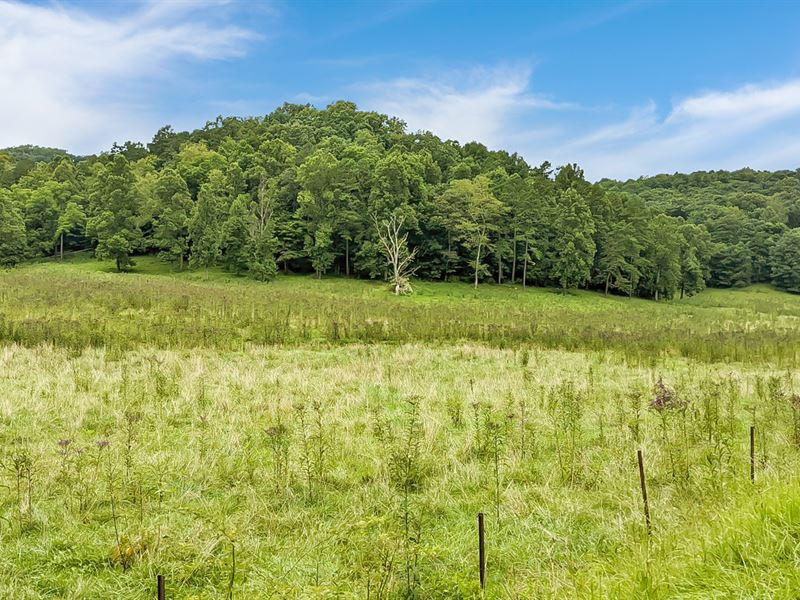 Jackson County, Ohio Land for Sale : Jackson : Jackson County : Ohio