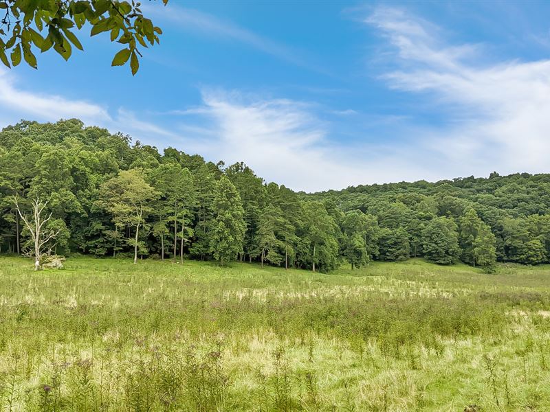 Jackson County, Ohio Land for Sale : Jackson : Jackson County : Ohio