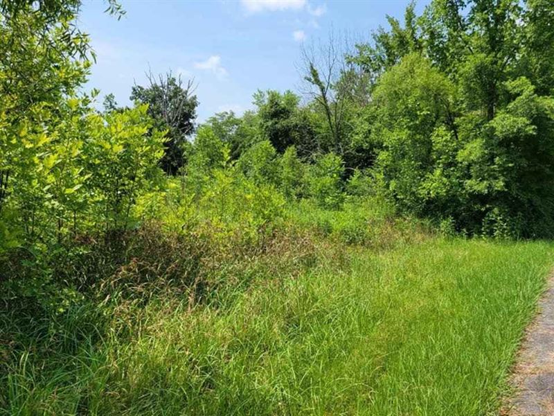 Beautiful Lot, Mobile Home Approved : Gainesville : Putnam County : Florida