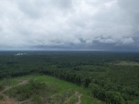 Great Opportunity for Investors : Elberton : Elbert County : Georgia