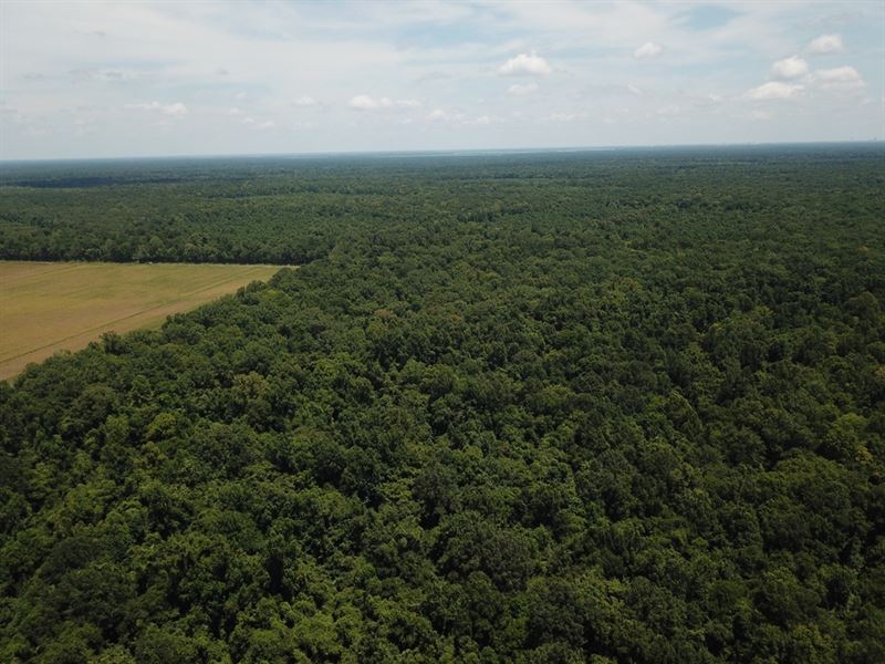 La, Iberville 200 Acres : Grosse Tete : Iberville Parish : Louisiana