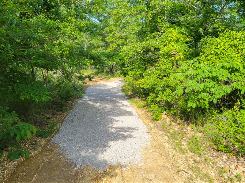 Property Near Bryant Creek : Rockbridge : Douglas County : Missouri