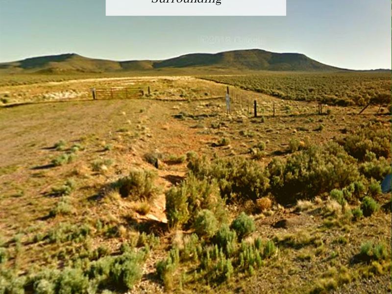 3.81 Acres Only 1 Down, 199/Mo Land for Sale by Owner in Beryl