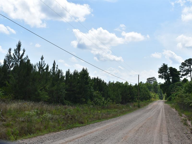 Whitewater Tract 8 : Glenn : Heard County : Georgia